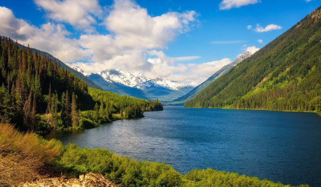 B.C. government urged to form housing policy roundtable