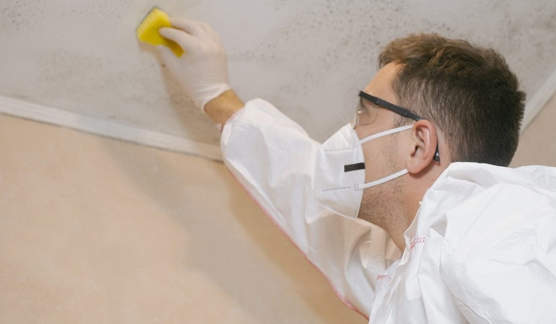 OPINION: Why Canada needs a unified approach to drug home remediation