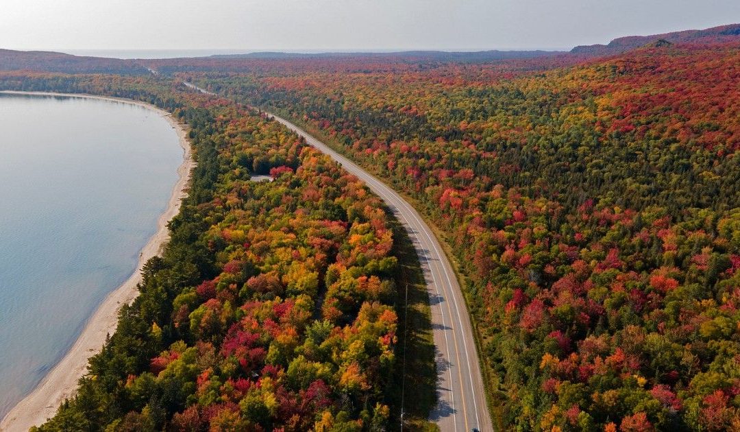 Re/Max forecasts cooler fall market with home prices set to dip 6.5%