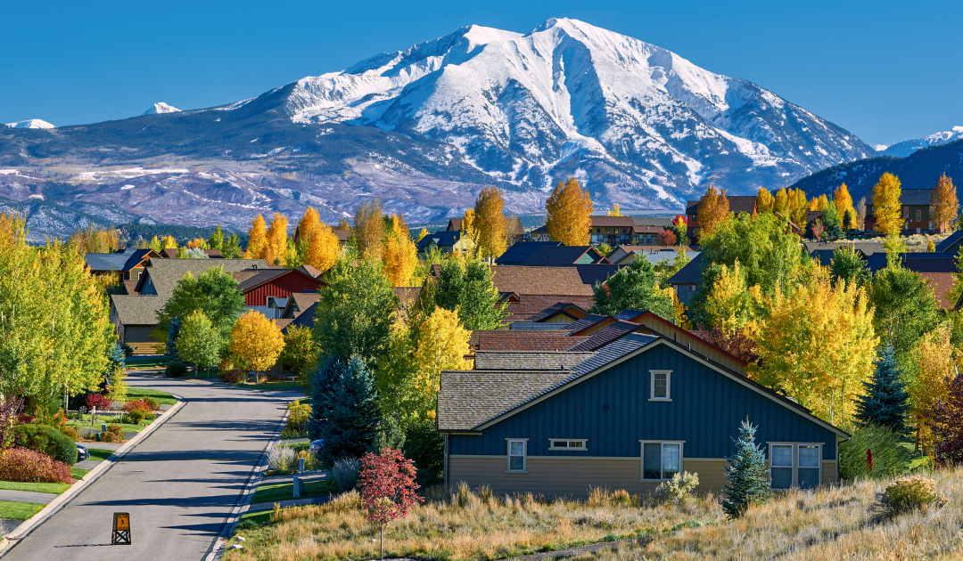 From chaos to control: How to reset, refocus, and win your fall market